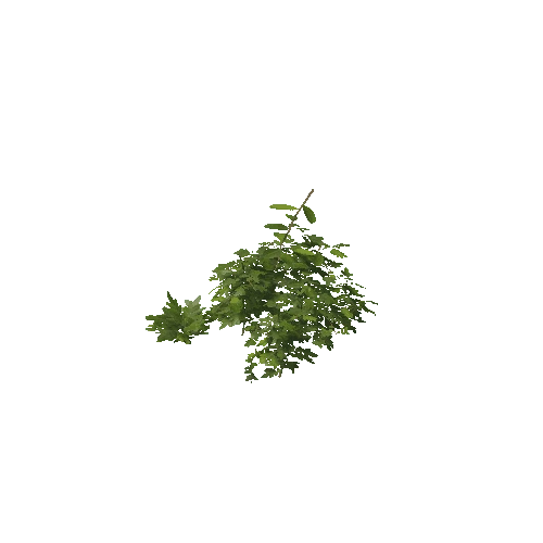 Plant 56_LOD_1